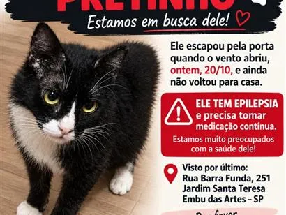 Gato raça SRD-ViraLata idade 6 ou mais anos nome Pretinho