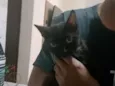 não tem nome