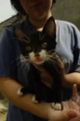 Mia