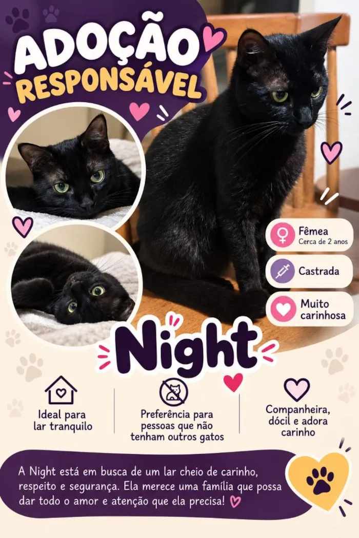 Gato raça SRD-ViraLata idade 2 anos nome Night