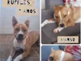 Ruffles