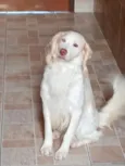 Bailey