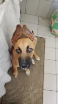 Simba