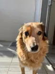 Kiara