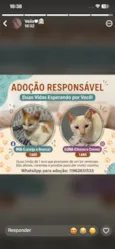 Mia e luna