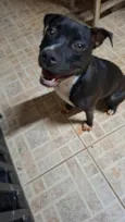 Fiona
