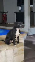 Fiona