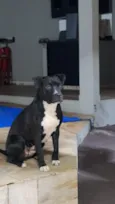 Fiona