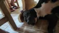 Fiona