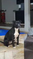 Fiona 