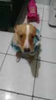 Spike