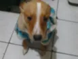 Spike