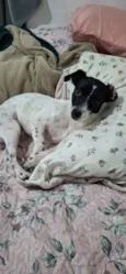 Trovãozinho