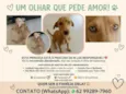 Lupita