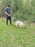 TOTÓ