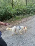 TOTÓ