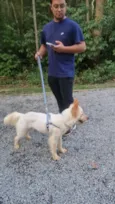 TOTÓ
