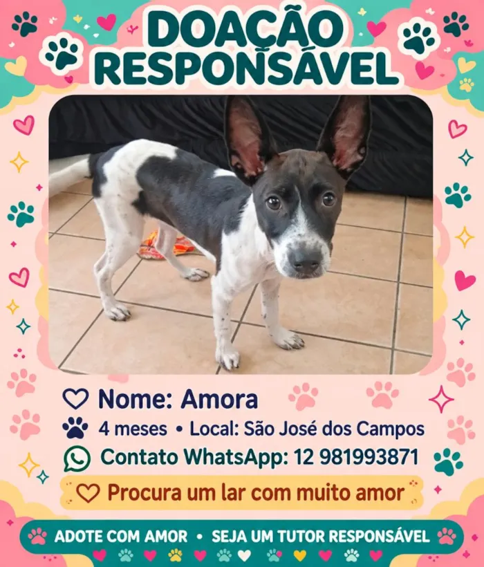 Cachorro raça SRD-ViraLata idade 2 a 6 meses nome Amora