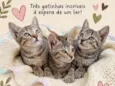 Bonie, Sisha, Tiana