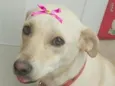 Julie