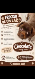 Chocolate