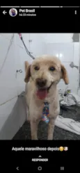 tuck