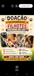 filhotes