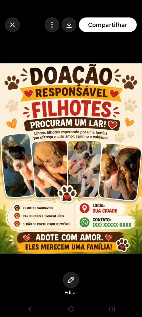 Cachorro raça SRD-ViraLata idade 2 a 6 meses nome filhotes