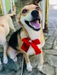 Fiona