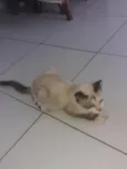 Não tem nome