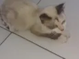 Não tem nome