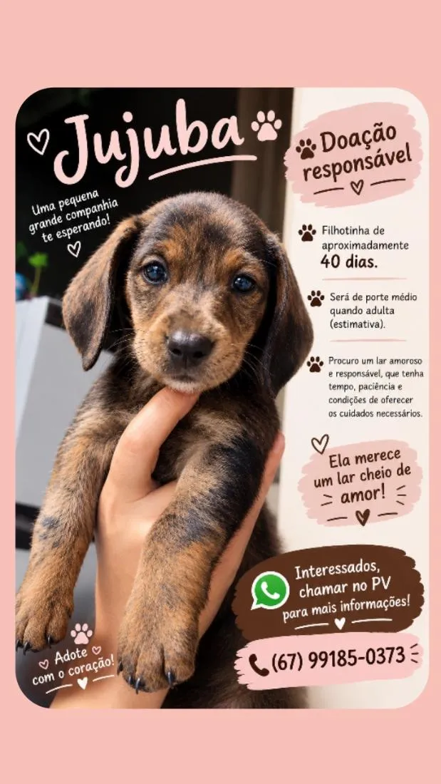 Cachorro raça SRD-ViraLata idade Abaixo de 2 meses nome Jujuba
