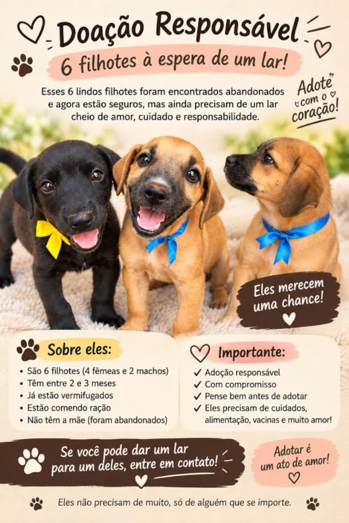 Cachorro raça SRD-ViraLata idade 2 a 6 meses nome s/n