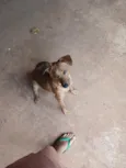 bebê 
