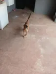bebê 