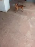 bebê 