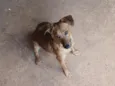 bebê 