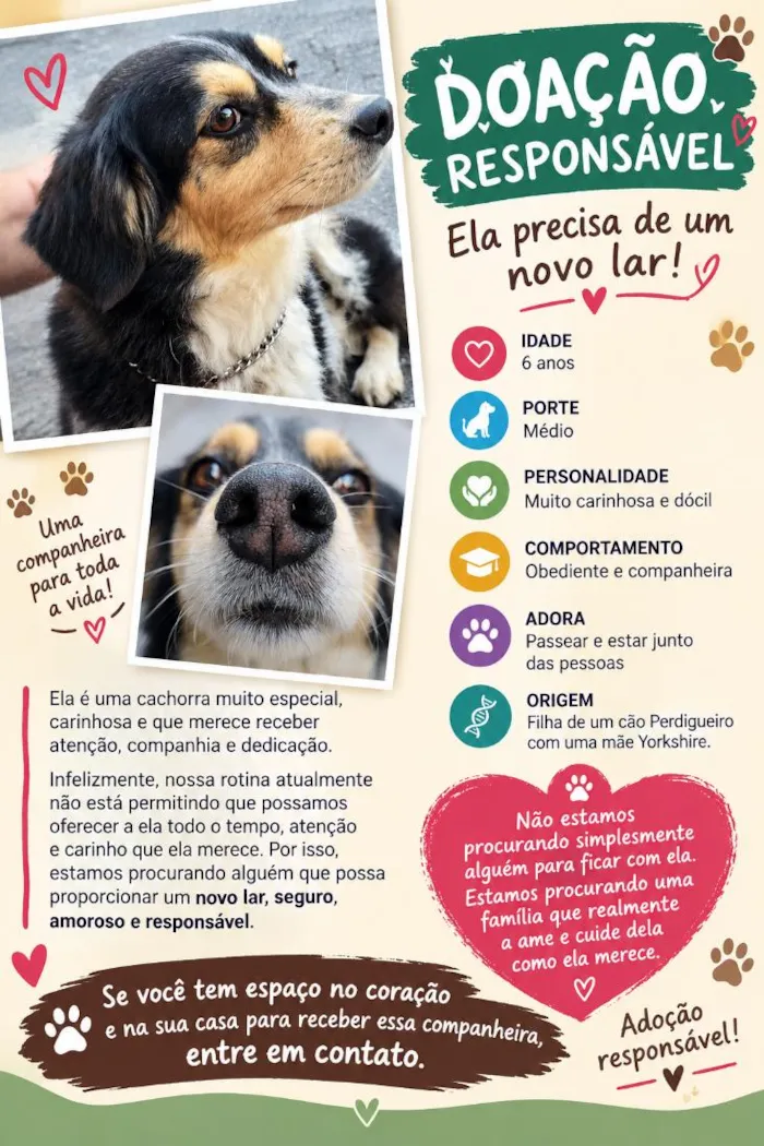 Cachorro raça SRD-ViraLata idade 6 ou mais anos nome Maria Vida
