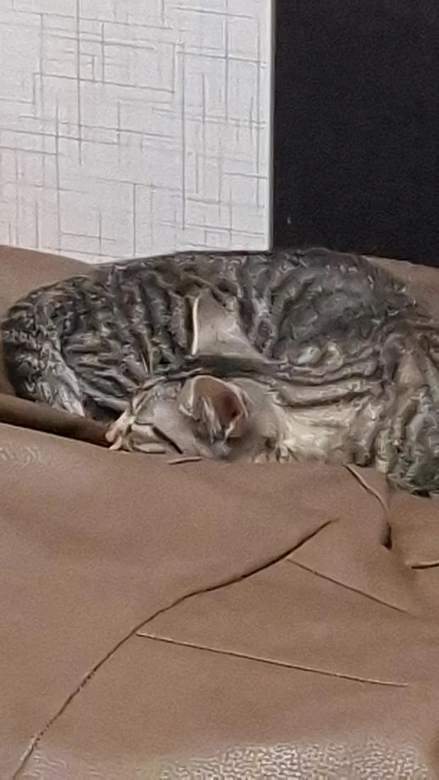 Gato raça SRD-ViraLata idade 2 a 6 meses nome Ymir e Saga 