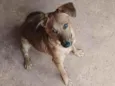 bebê 