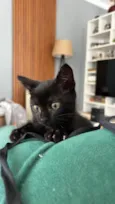 Nina