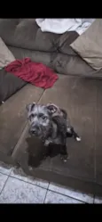 Lua