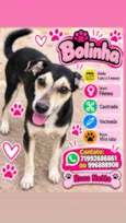 Bolinha