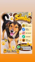 Simba