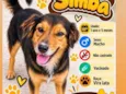 Simba