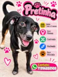 Pretinha