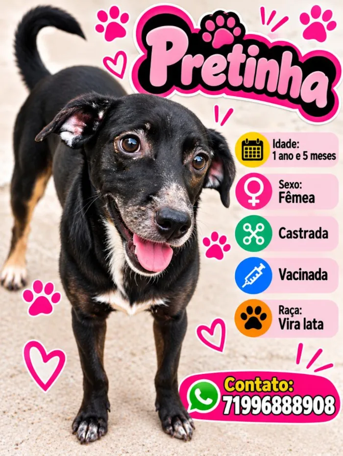 Cachorro raça SRD-ViraLata idade 1 ano nome Pretinha