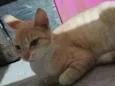 Mel