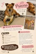 Princesa