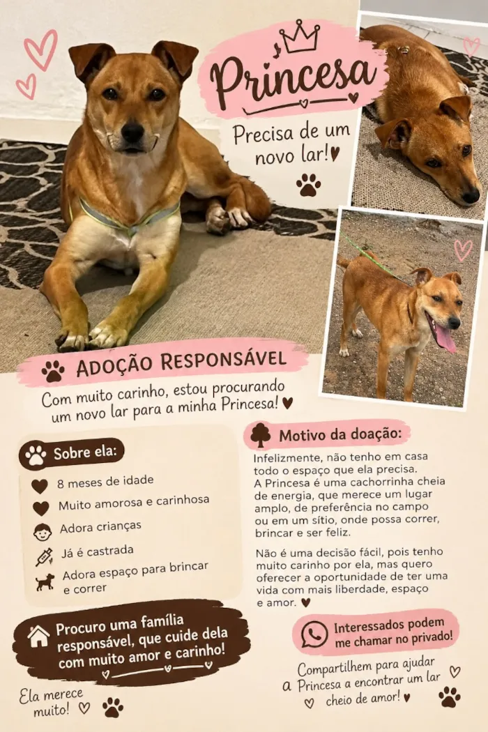 Cachorro raça SRD-ViraLata idade 7 a 11 meses nome Princesa